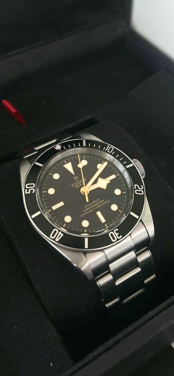 Tudor Black Bay